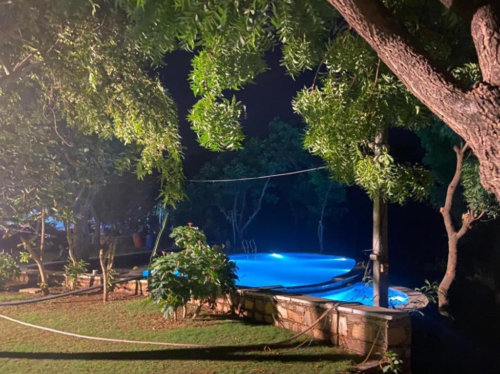 Amaltas Villa Udaipur Exterior photo